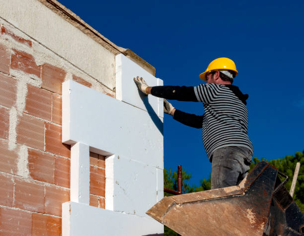 Best Commercial Insulation in Wanamingo, MN