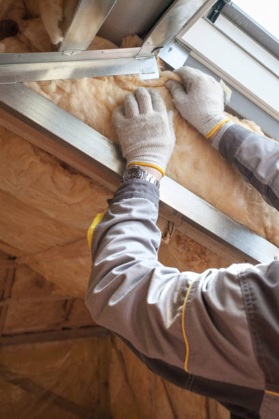Best Insulation Maintenance and Repair in Wanamingo, MN