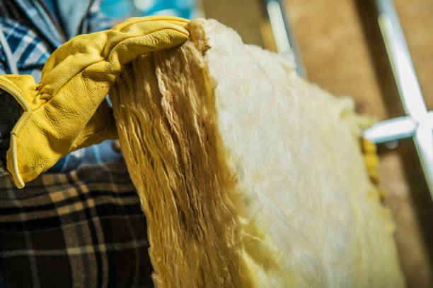 Best Specialty Insulation in Wanamingo, MN