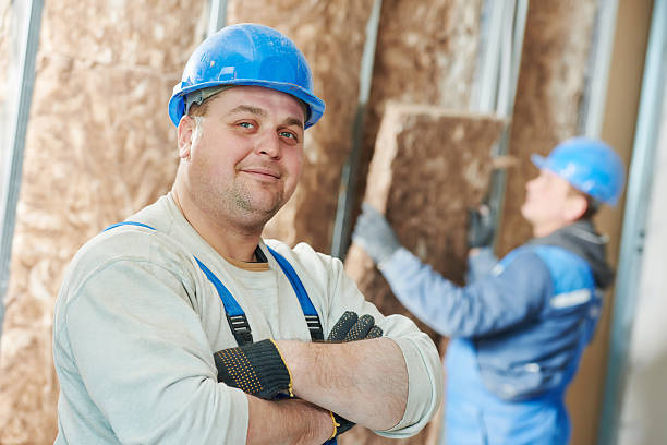 Best Insulation Materials and Products in Wanamingo, MN
